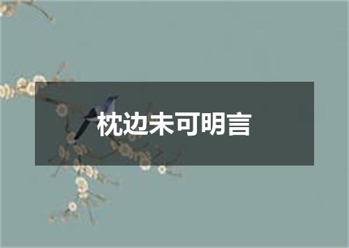 枕边未可明言