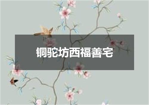 铜驼坊西福善宅
