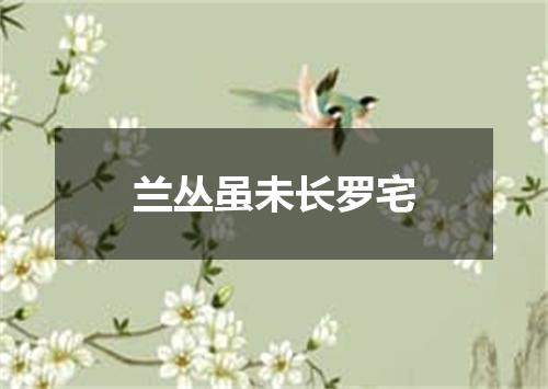 兰丛虽未长罗宅