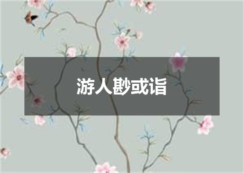 游人尠或诣
