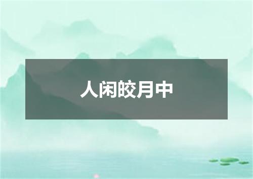 人闲皎月中