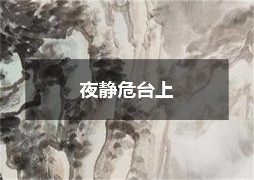 夜静危台上