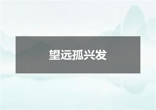 望远孤兴发