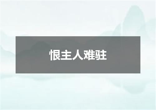 恨主人难驻