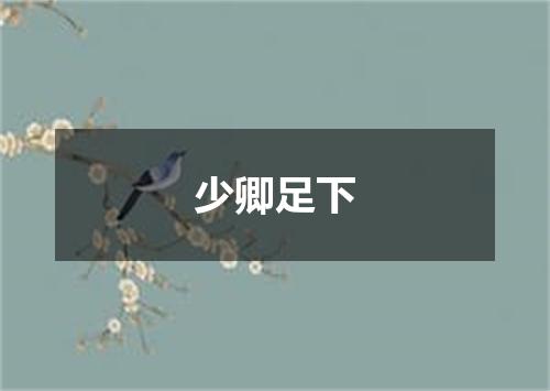 少卿足下