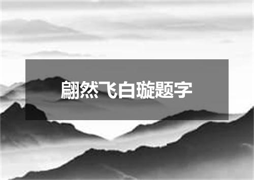 翩然飞白璇题字