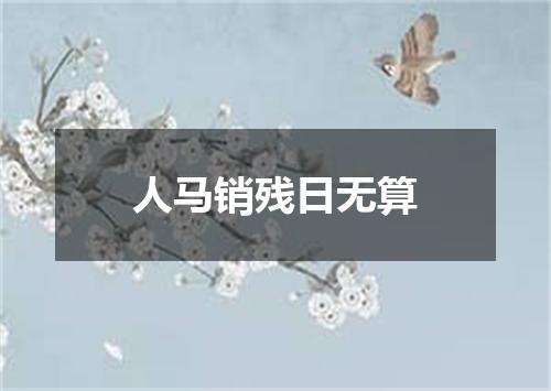 人马销残日无算