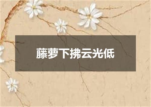 藤萝下拂云光低