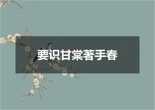 要识甘棠著手春
