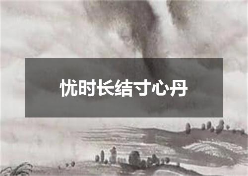 忧时长结寸心丹