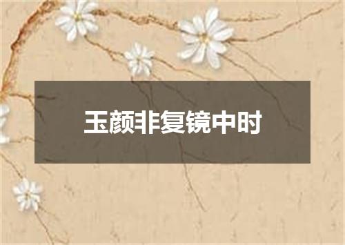 玉颜非复镜中时