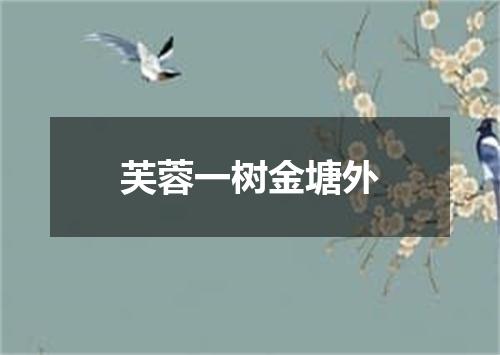 芙蓉一树金塘外