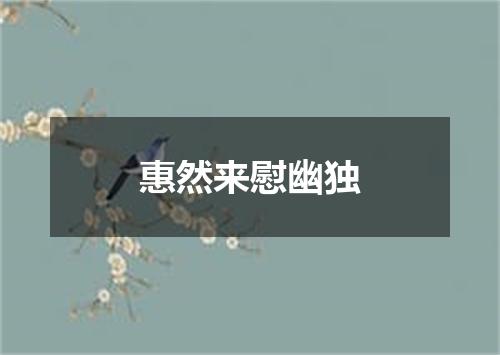 惠然来慰幽独