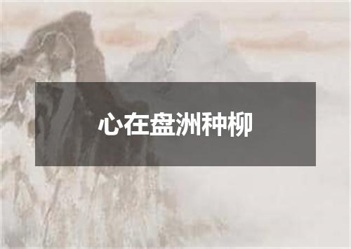 心在盘洲种柳