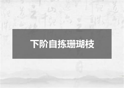 下阶自拣珊瑚枝