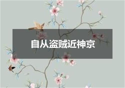 自从盗贼近神京