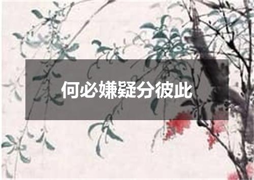 何必嫌疑分彼此