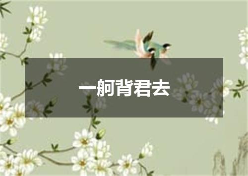 一舸背君去
