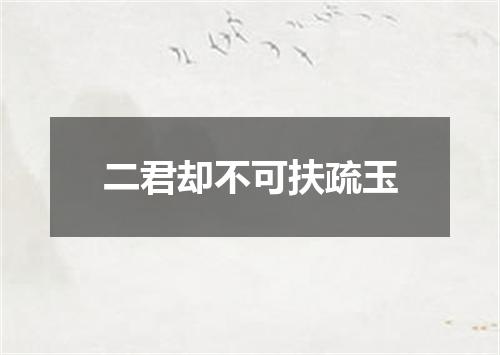二君却不可扶疏玉
