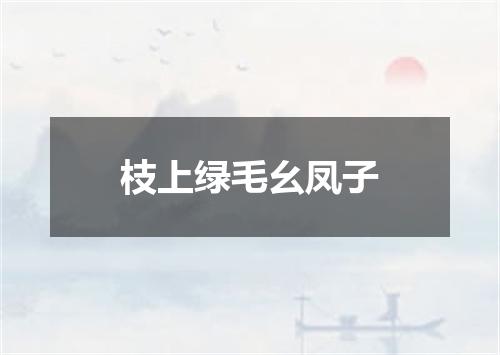 枝上绿毛幺凤子