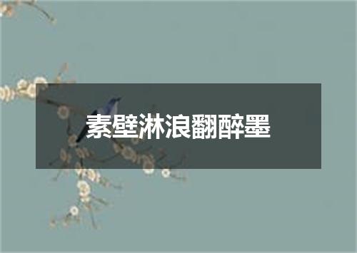 素壁淋浪翻醉墨