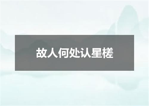 故人何处认星槎