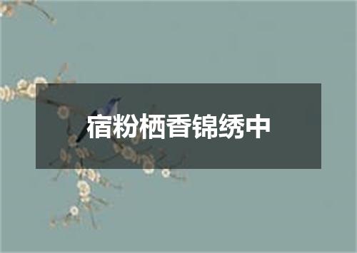 宿粉栖香锦绣中