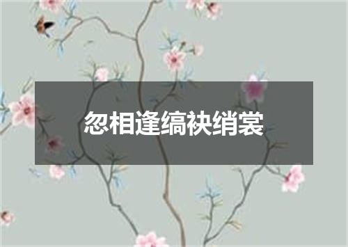 忽相逢缟袂绡裳