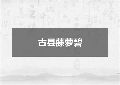 古县藤萝碧