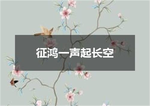 征鸿一声起长空