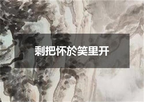 剩把怀於笑里开