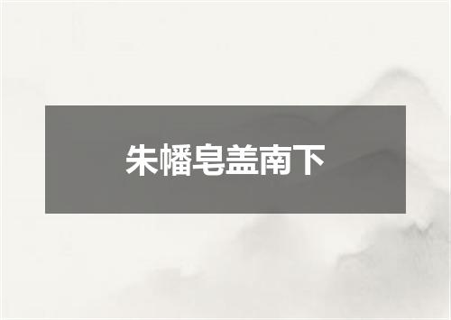 朱幡皂盖南下