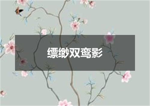 缥缈双鸾影