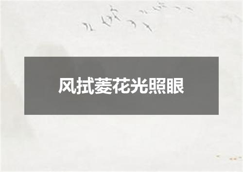 风拭菱花光照眼