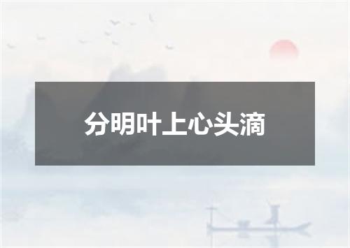 分明叶上心头滴