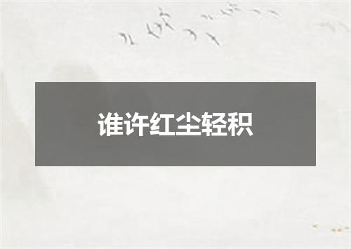 谁许红尘轻积