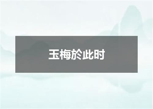 玉梅於此时