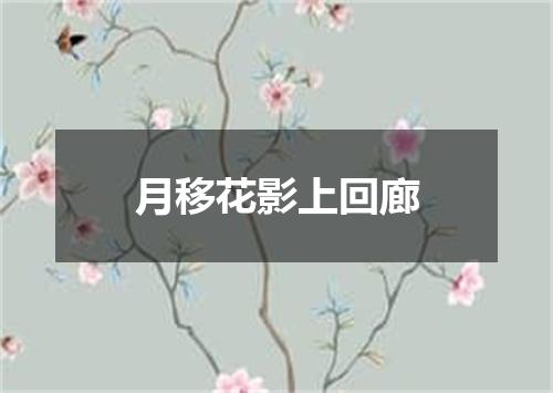 月移花影上回廊