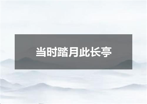 当时踏月此长亭