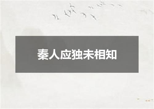 秦人应独未相知