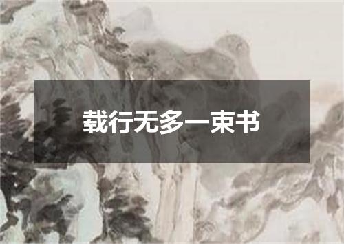 载行无多一束书