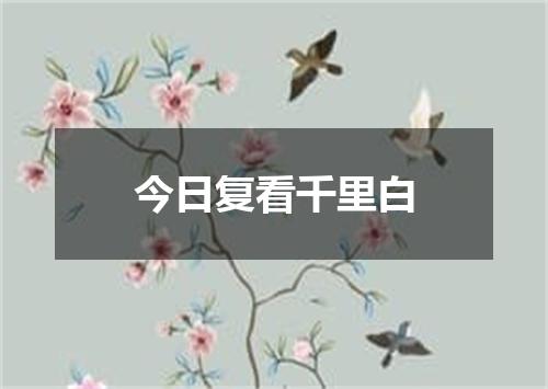 今日复看千里白