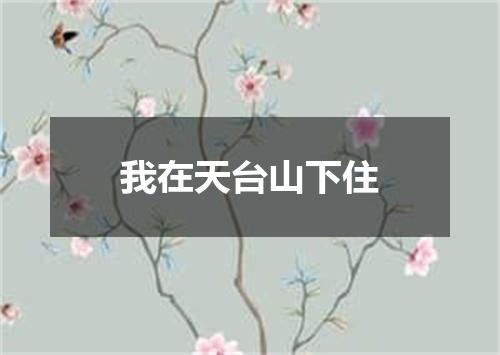 我在天台山下住