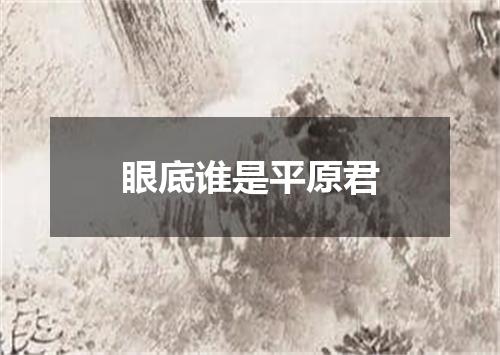 眼底谁是平原君