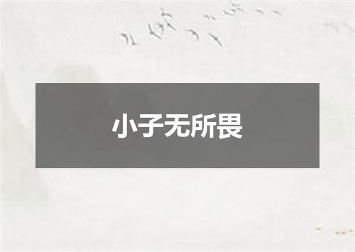 小子无所畏