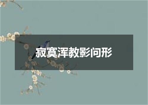 寂寞浑教影问形