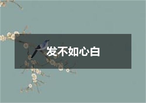 发不如心白