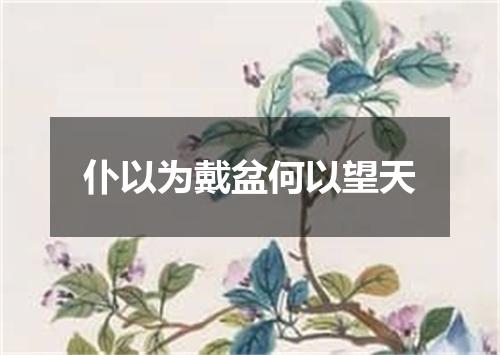 仆以为戴盆何以望天