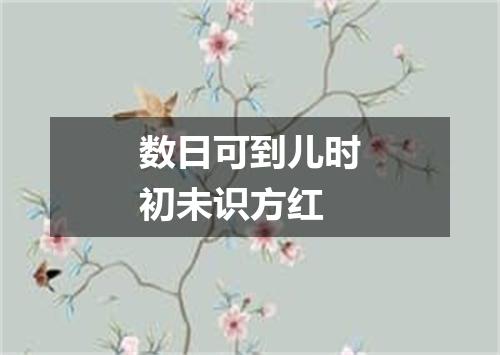 数日可到儿时初未识方红