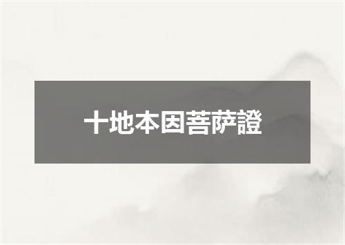 十地本因菩萨證